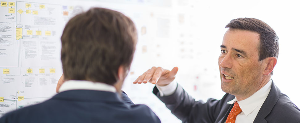 Banner Fachliche Projektsteuerung