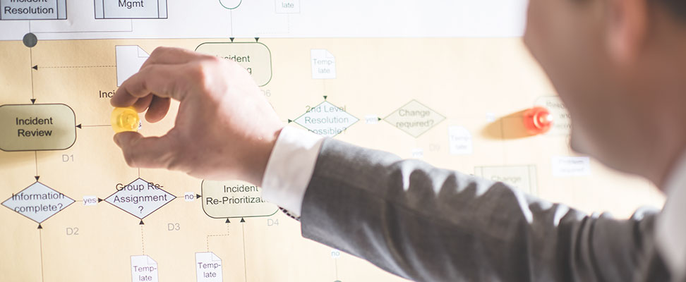 Banner Organisation & Prozesse
