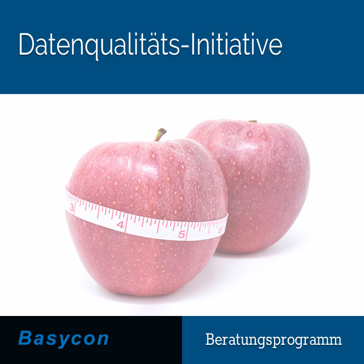 Datenqualitäts-Initiative