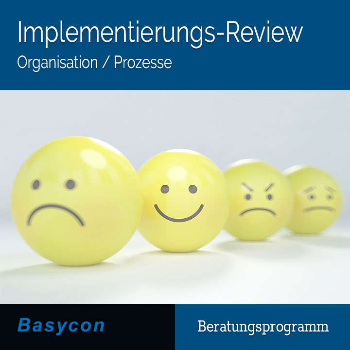 Implementierungs-Review Organisation/Prozesse