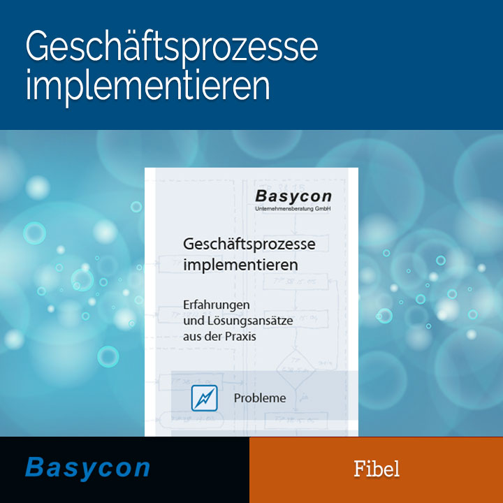 Fibel - Geschäftsprozesse implementieren