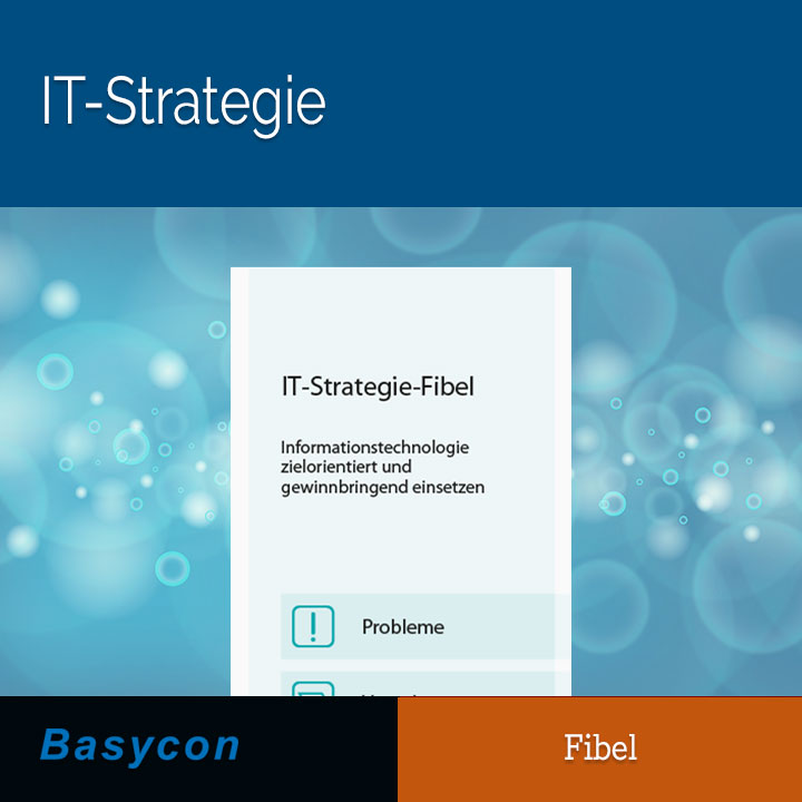 Fibel - IT-Strategie