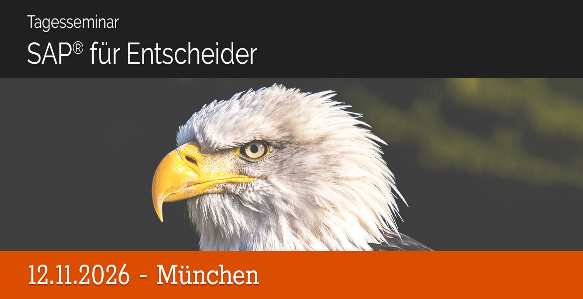 12.11.2026 - Tagesseminar SAP® für Entscheider - München