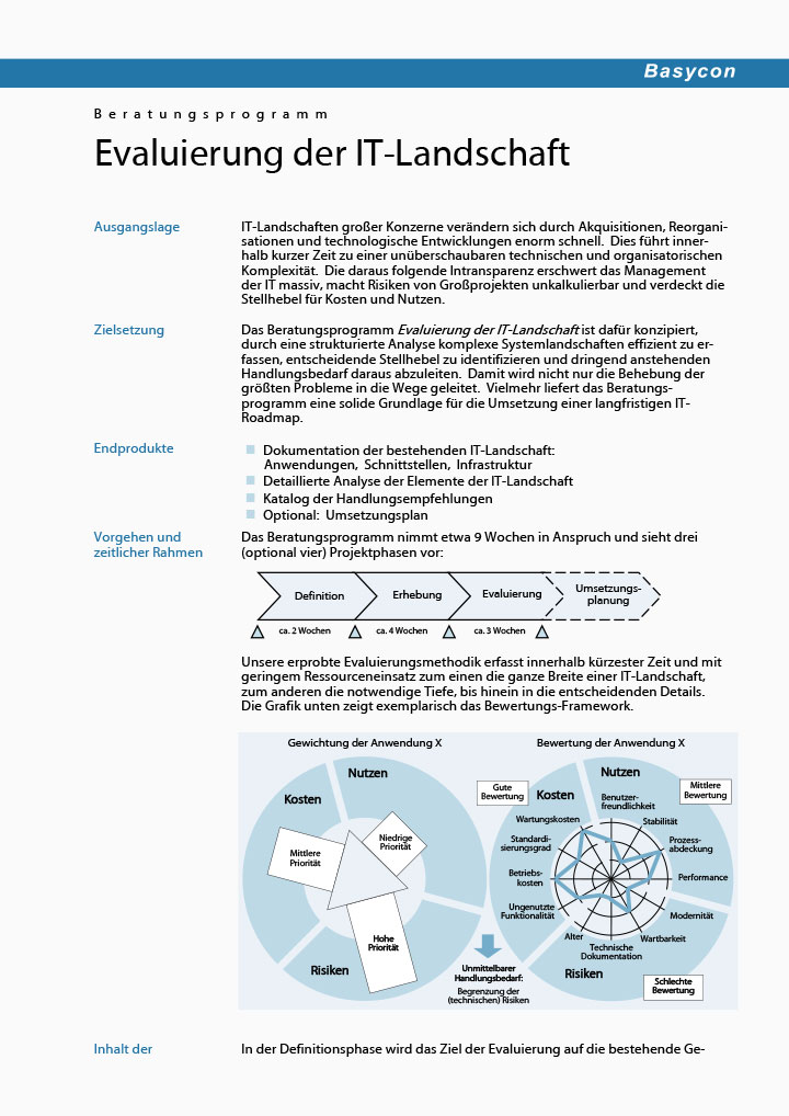 Beratungsprogramm Evaluierung IT-Landschaft
